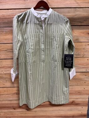 Pomander Place Striped Shirt Dress in Light Sage with White Collar, Medium
